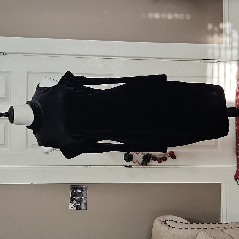 Calvin Klein Velvet Dress